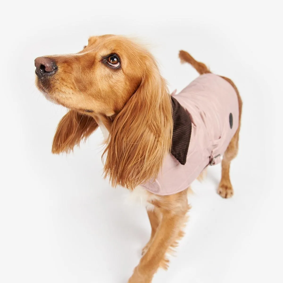 Barbour Quilted Dog Coat in Pink