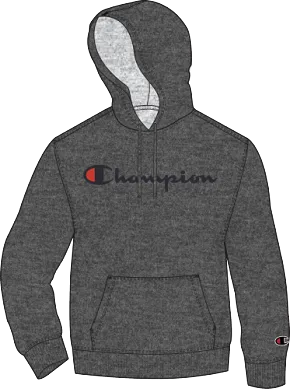 Champion Powerblend Screen Print Script Hoodie