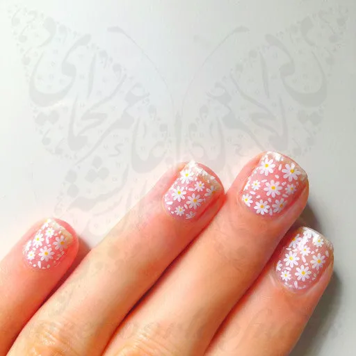 Daisy Flower Nails Full Stickers