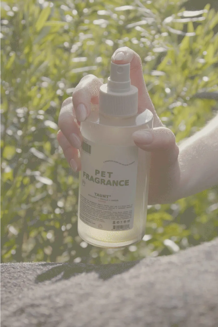 Pet Fragrance 01 