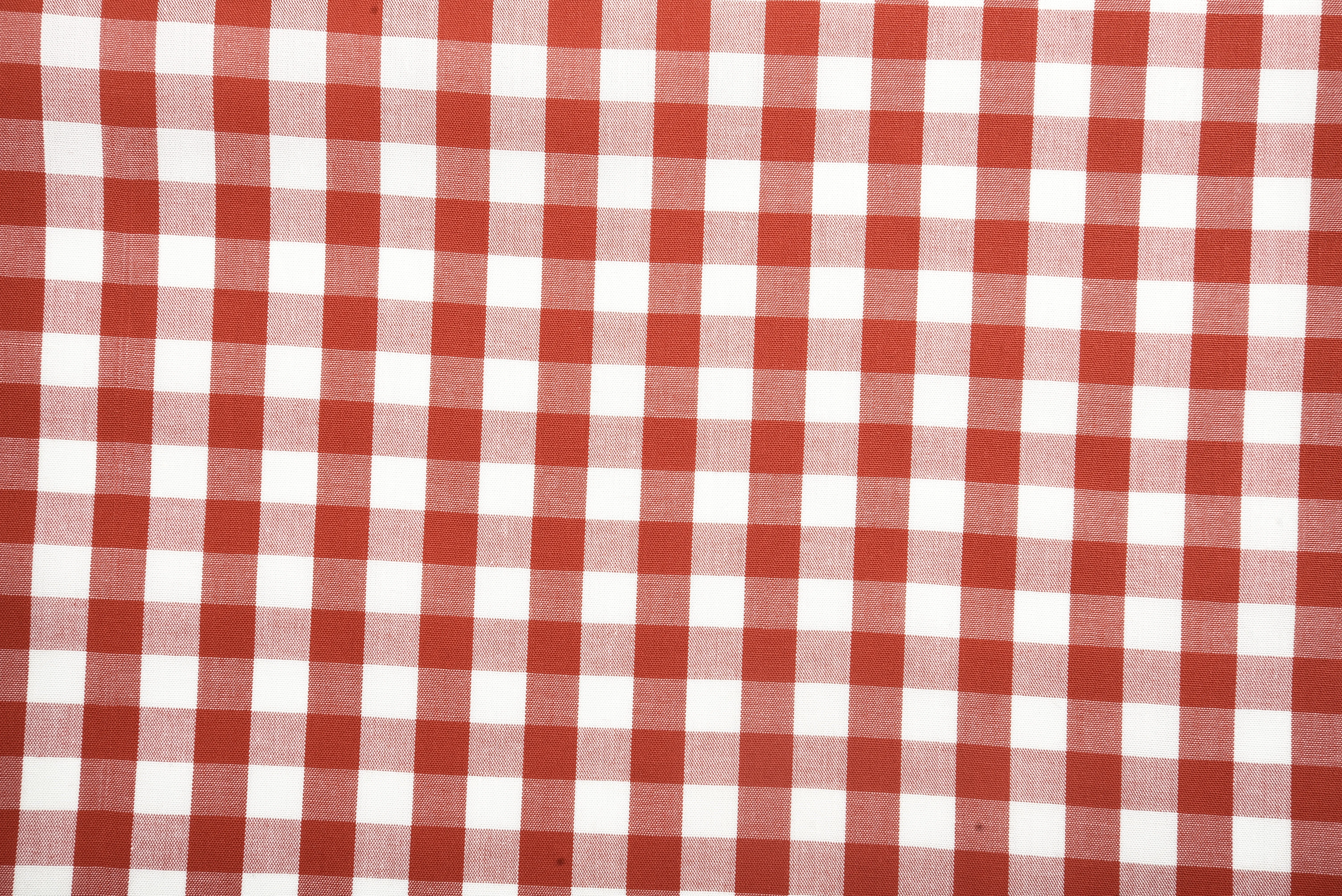 Red on White Broad Gingham Checks Shirt