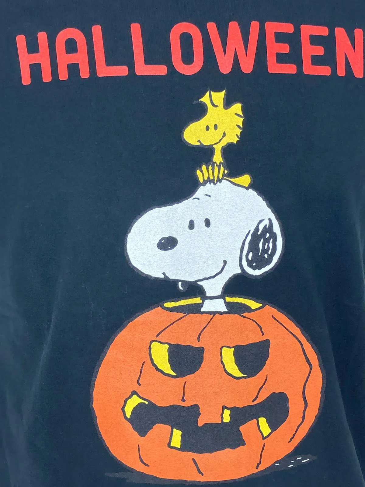 T-SHIRT UOMO STAMPA HALLOWEEN